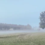 Lauku ienakumi